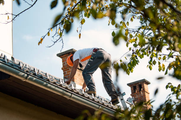 Quick and Trustworthy Emergency Roof Repair Services in Grand Rapids, MI