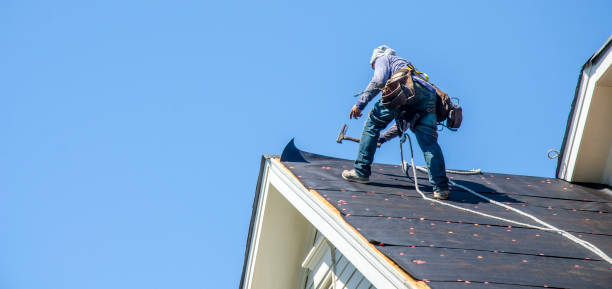 Best Metal Roofing Contractor  in Grand Rapids, MI